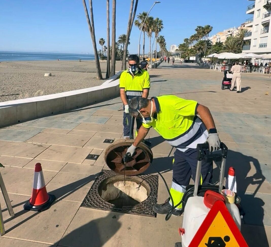 Estepona amplía a tres campañas anuales su plan de desinsectación y desratización, que cubre más de 20.000 pozos de registro y 10.573 imbornales